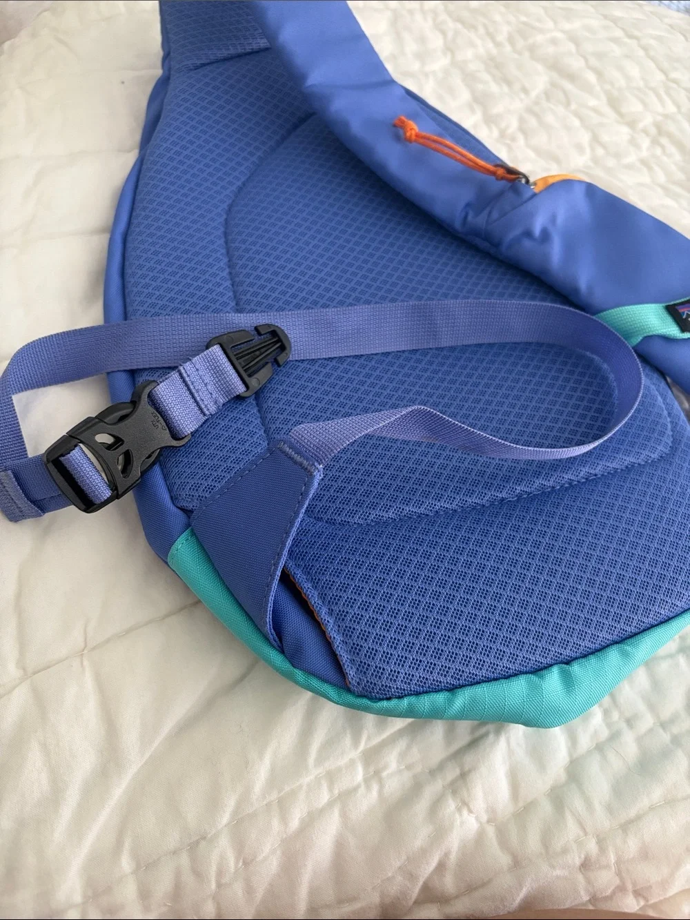 Vintage Patagonia Atom 8L Sling Bag Periwinkle & Mint